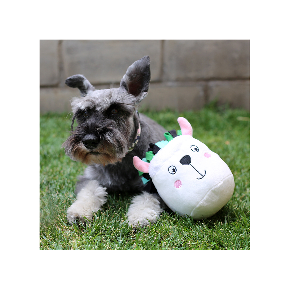 BRNX JUGUETE PLUSH IQ LLAMA COGNITIVO 2