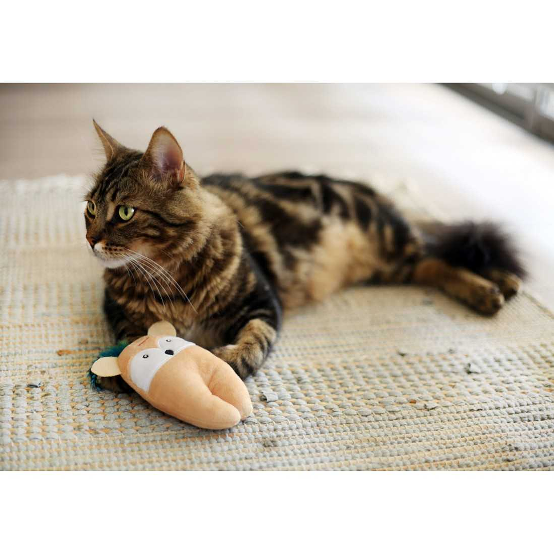 BRNX JUGUETE CAT MAXI TOY ZORRO MAPACHE 2