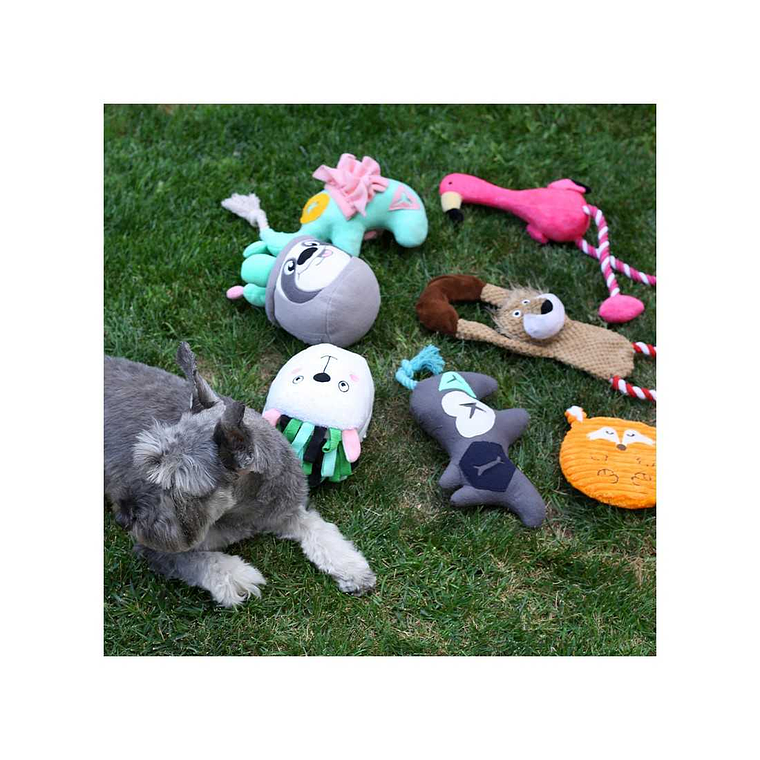 BRNX JUGUETE PLUSH CUERDA LEÓN XL 2