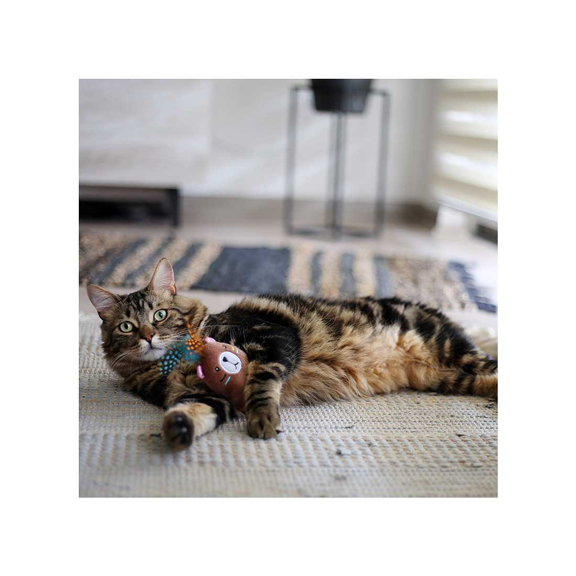 BRNX JUGUETE CAT MAXI TOY OSO BOHO 2