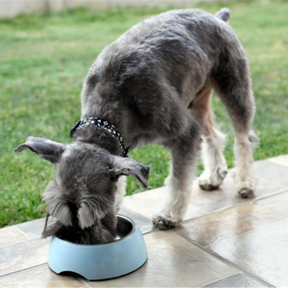 BRNX PLATO MELAMINA + INOX CELESTE L 2