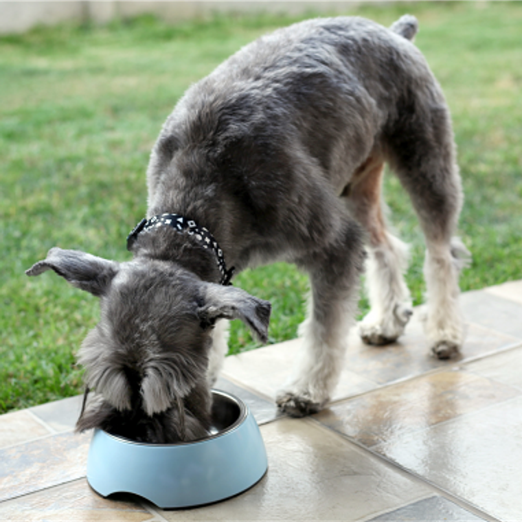 BRNX PLATO MELAMINA + INOX CELESTE L 2