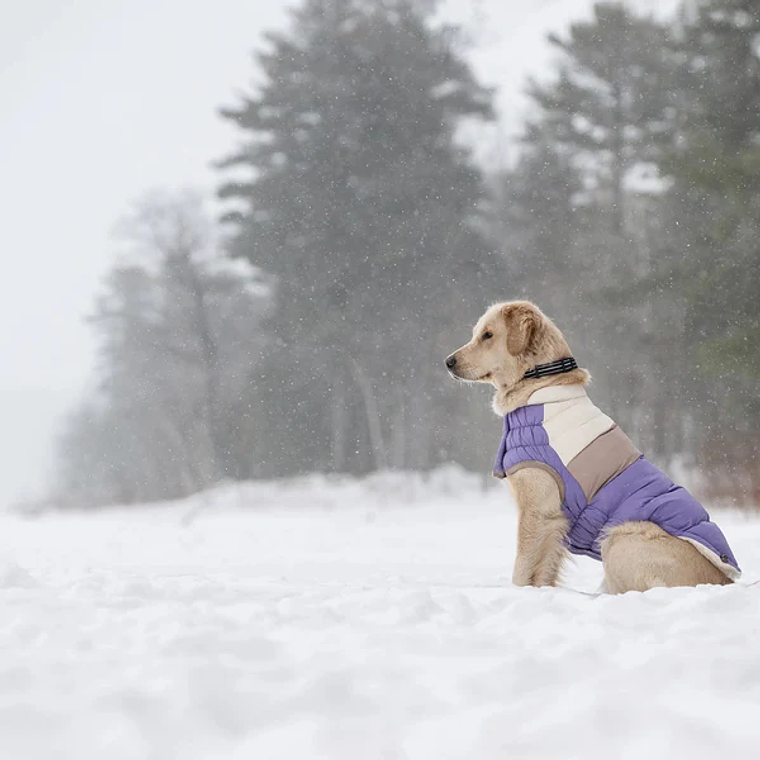 GF PET PARKA COLOR BLOCK PURPURA 2XL 4