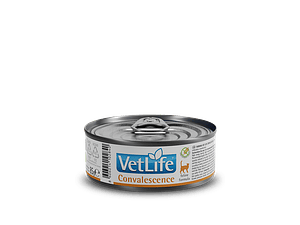 VETLIFE FEL Convalescence Húmedo 85GR
