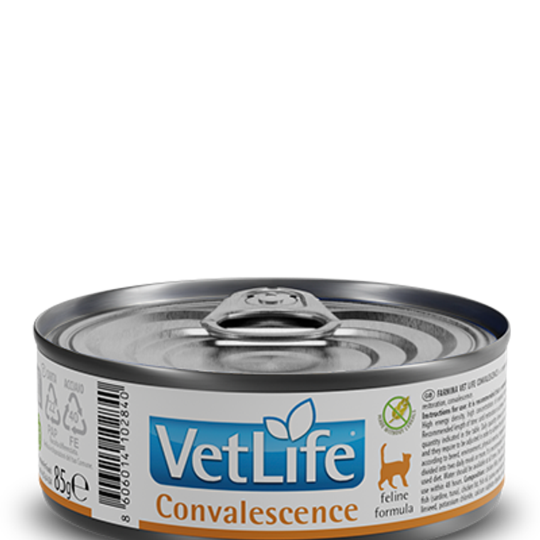 VETLIFE FEL Convalescence Húmedo 85GR 1