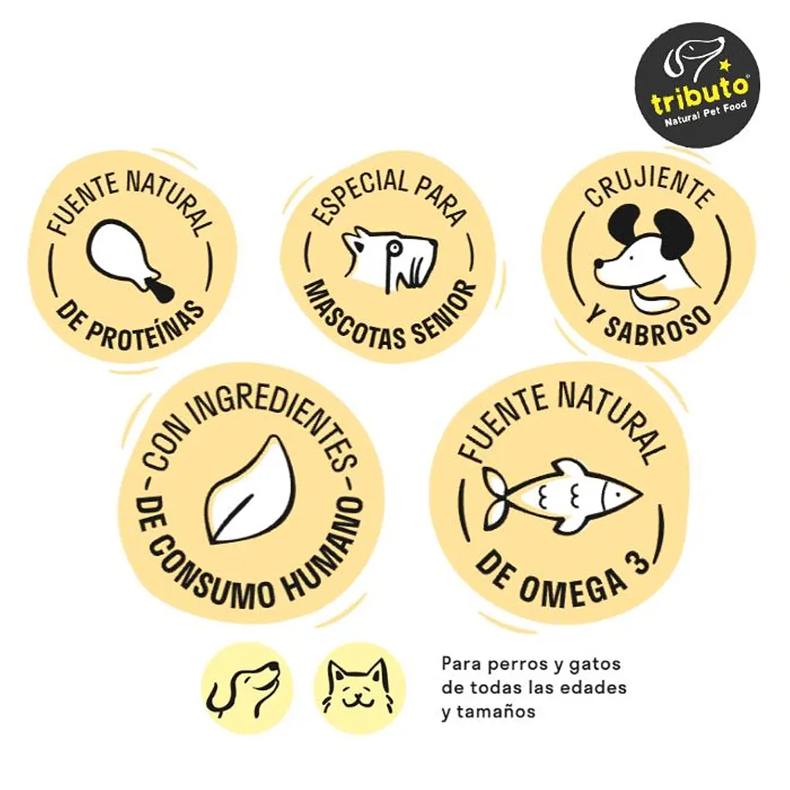 TRIBUTO ORIGINAL SALMÓN 100GR 2