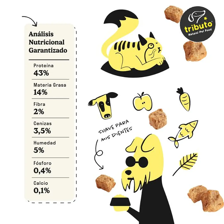 TRIBUTO ORIGINAL SALMÓN 100GR 3