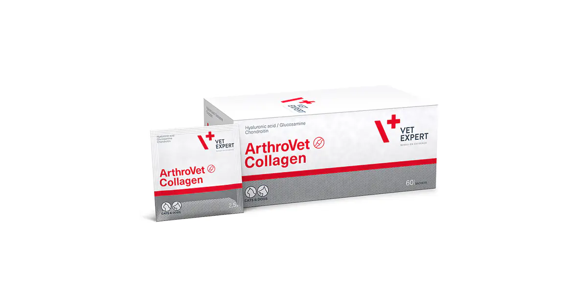 VET EXPERT ARTHROVET COLLAGEN 60 SOBRES