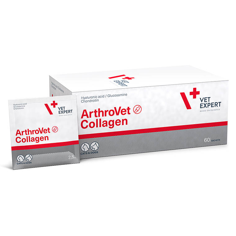 VET EXPERT ARTHROVET COLLAGEN 60 SOBRES 1