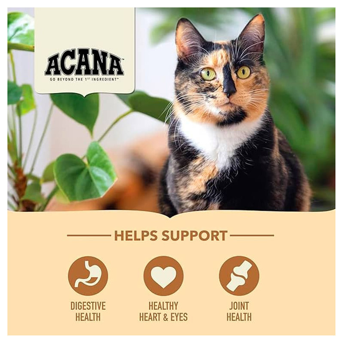 ACANA SENIOR ENTRÉE CAT 1.8KG 4