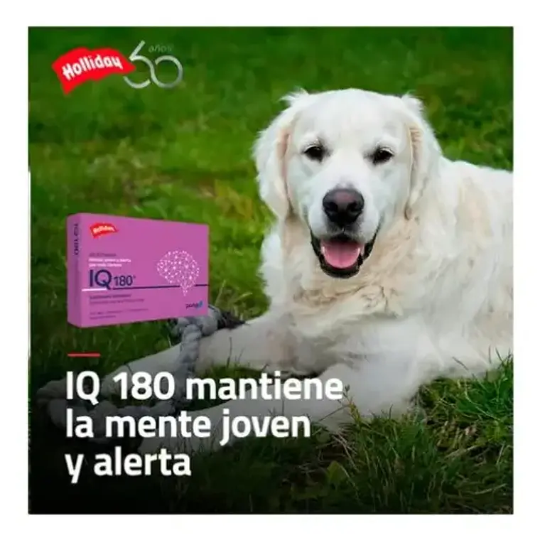 IQ180 activador de la función neuronal 2
