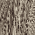 Wine | Pieza de Cabello