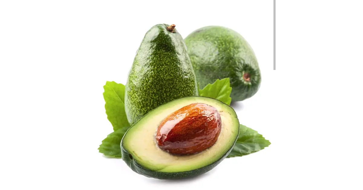 PALTA EDRANOL
