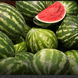 SANDIA  PEQUEÑA ENTERA