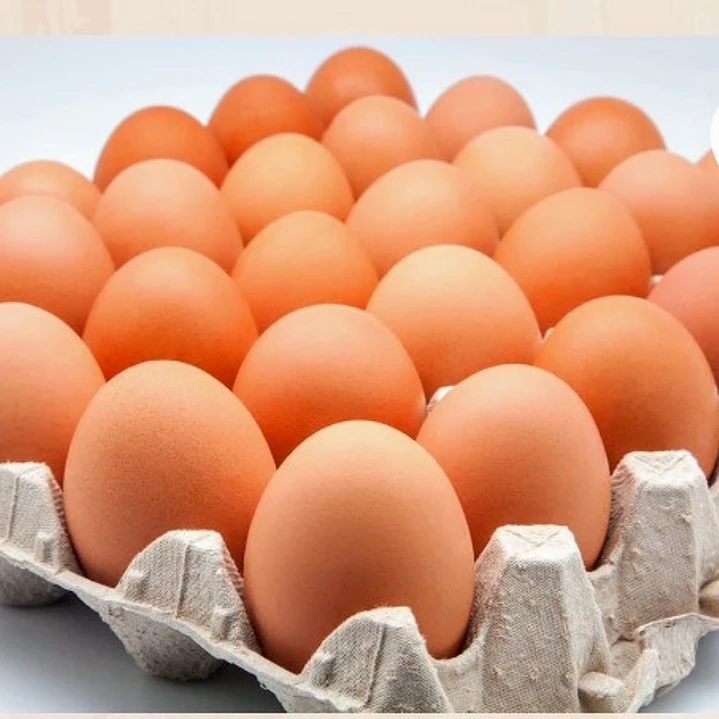 Huevos Extra color caja de 180 unidades 1