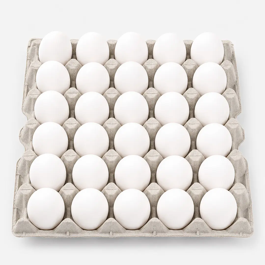 Huevos super blanco, caja de 180 unidades 1