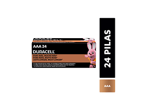 PILA ALCALINA BLISTER AAA x24