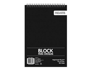 CROQUERA 13X19 CM PROARTE 100 HOJAS 