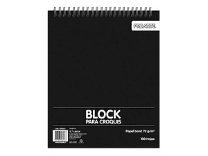 CROQUERA 27X38 CM PROARTE 100 HOJAS 