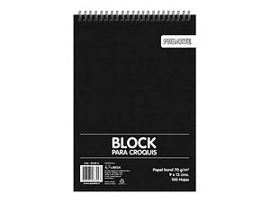 CROQUERA 9X13 CM PROARTE 100 HOJAS 