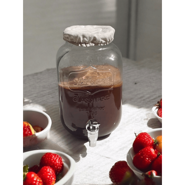 KIT DISPENSADOR DE KOMBUCHA 4 L + SCOBY ¡HIGIENE Y PRACTICIDAD EN UN KIT! 1