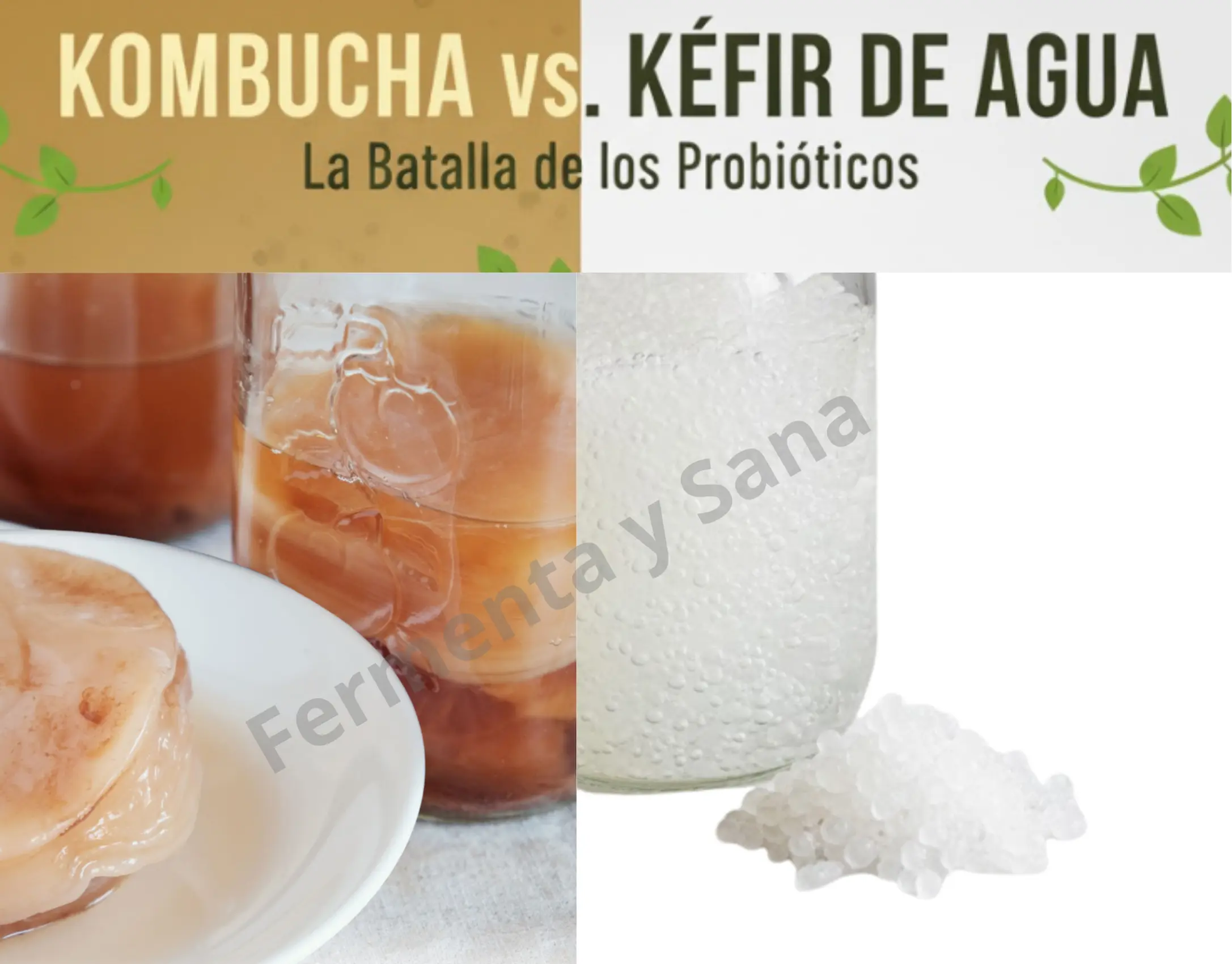 -VIAJE: Kombucha vs. Kéfir de Agua: La Batalla de los Probióticos