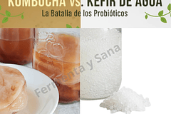 -VIAJE: Kombucha vs. Kéfir de Agua: La Batalla de los Probióticos