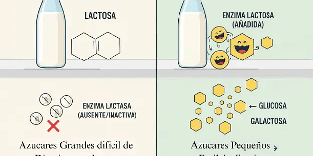 -VIAJE: La realidad de la Leche 