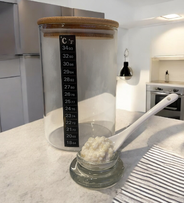 VIAJE: ¿Qué es el Kéfir de Leche y de Dónde Proviene este Probiótico Ancestral?