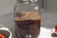 RECETA: Mi Primera Kombucha Con Mi Primer Scoby