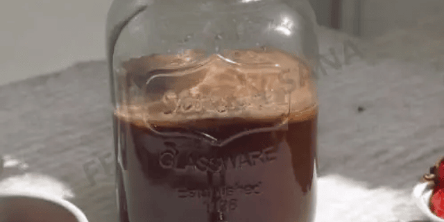 RECETA: Mi Primera Kombucha Con Mi Primer Scoby