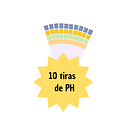 Kit Kombucha Oasis:  Tu Viaje a la Fermentación Casera de Lujo 5