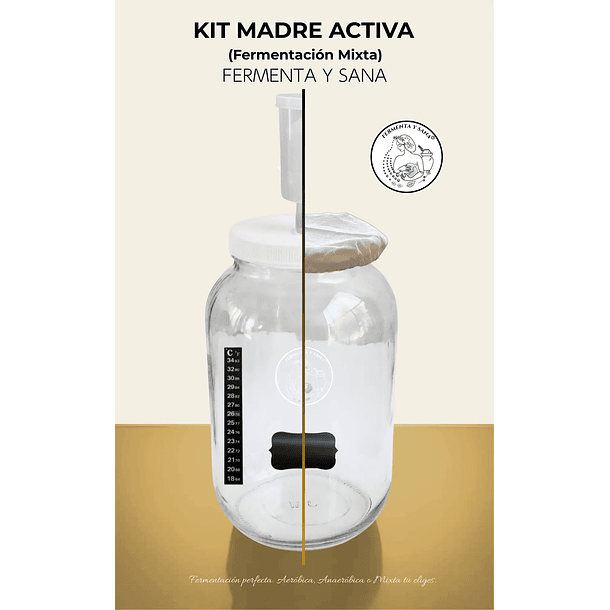 Kit Madre Activa: Fermentación Mixta - Vinagre de Manzana - Tepache - chucrut y más. 1