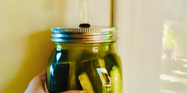 RECETA: Pepinos Probióticos como Pepinillos del super!! 