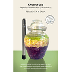 Chucrut  Lab: Kit Crock Premium 1