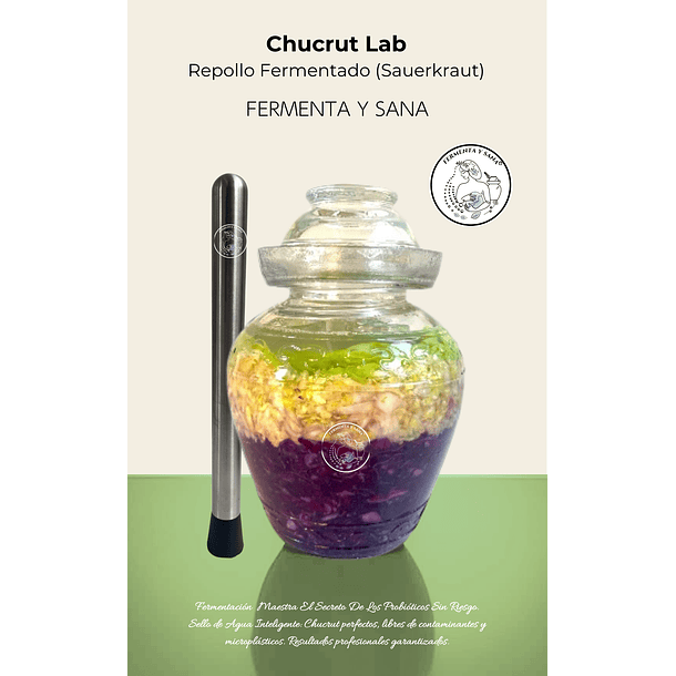 Chucrut  Lab: Kit Crock Premium 1