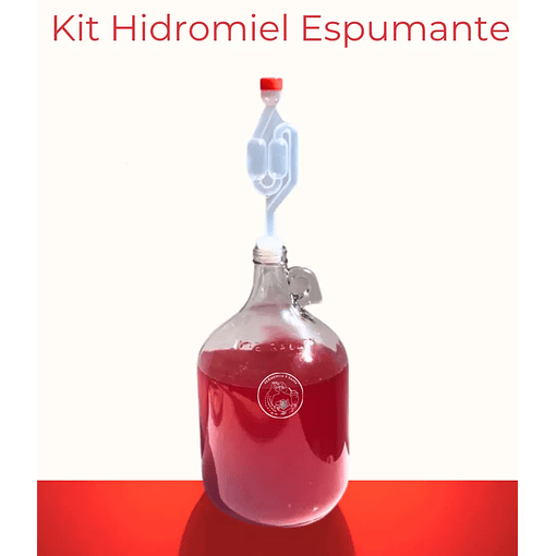 Kit Hidromiel: Botellón Fermentador 1 Galón+ Valvula Airlock Doble
