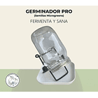 Kit Germinación Semillas: Cultiva Brotes Nutritivos Facil En Casa 1
