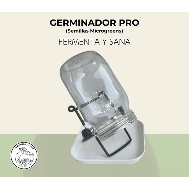 Kit Germinación Semillas: Cultiva Brotes Nutritivos Facil En Casa 1