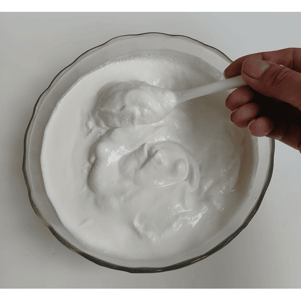 Yogurt Kéfir Maestro: Estilo Griego Artesanal (450-500g) 2