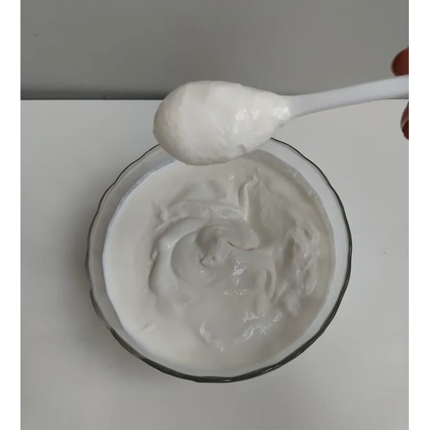 Yogurt Kéfir Maestro: Estilo Griego Artesanal (500g) 1