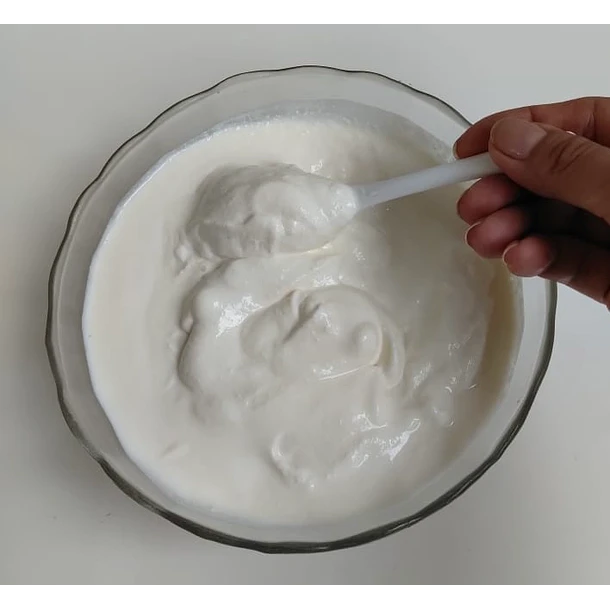 Yogurt Kéfir Maestro: Estilo Griego Artesanal (500g) 2