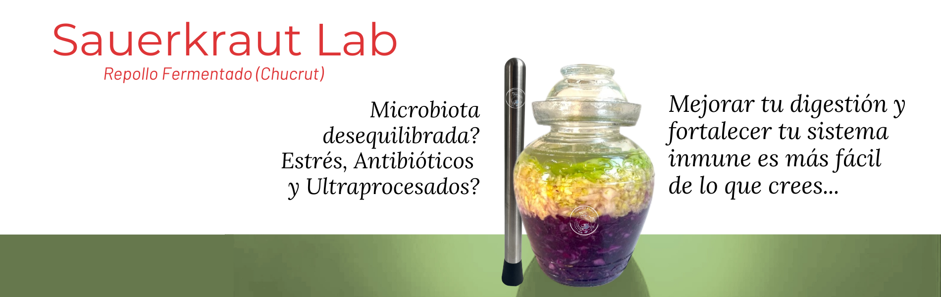 -FERMENTA VEGETALES QUE MEJOREN TU FLORA!!