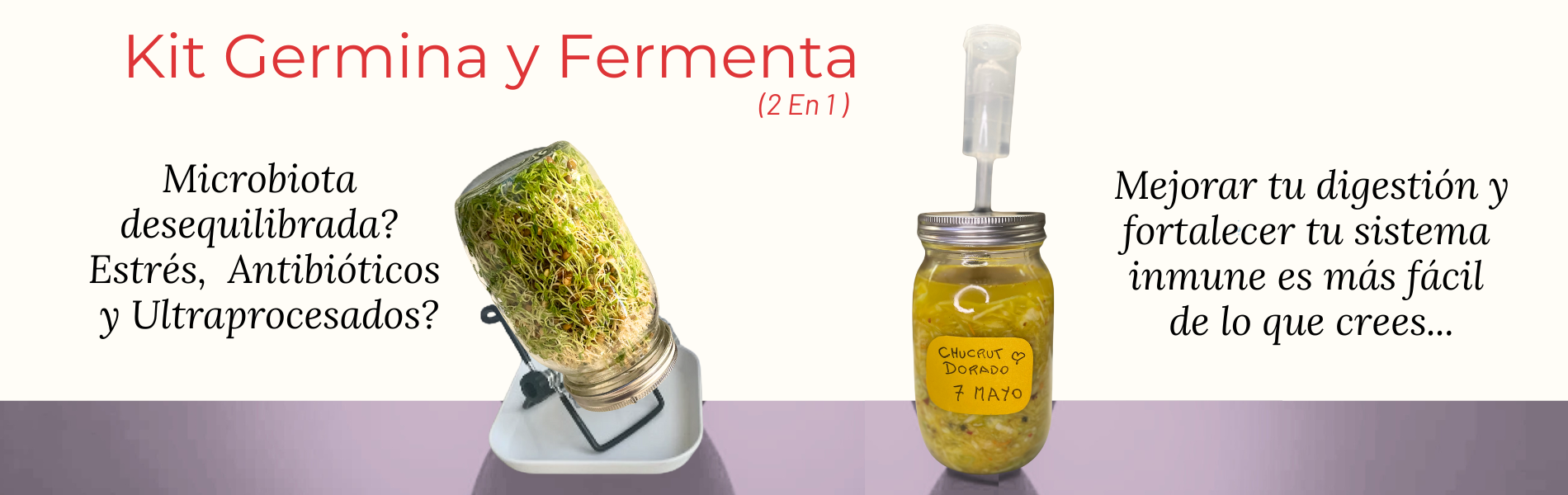 -NUTRE A TU FAMILIA CON SEMILLAS GERMINADAS!!