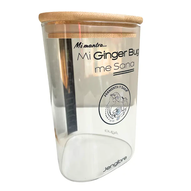 Probioticos Ginger Bug: Kit Triada, 3 Accesorios, 1 starter. 1