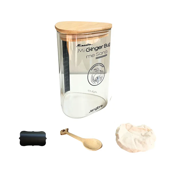 Probioticos Ginger Bug: Kit Triada, 3 Accesorios, 1 starter. 3
