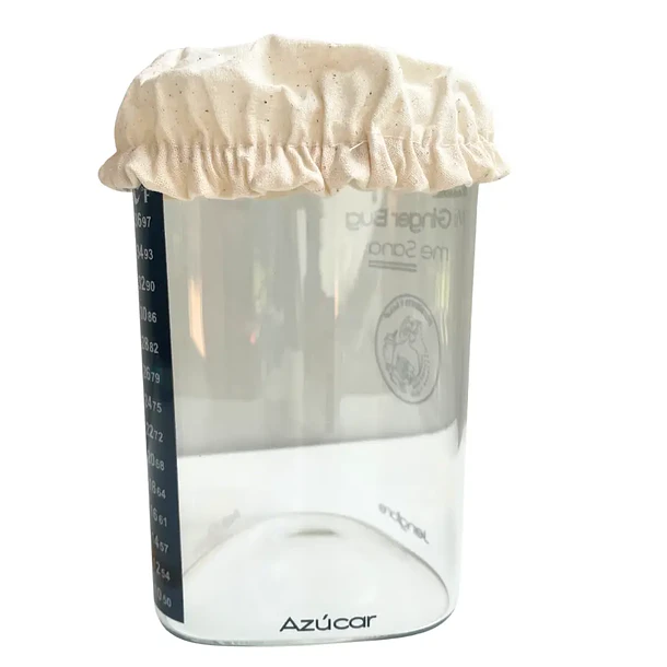 Probioticos Ginger Bug: Kit Triada, 3 Accesorios, 1 starter. 4