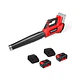 Soplador Inalámbrico Einhell GP-LB 36/230 Li E BL 36V Brushless + 2 Baterías 4.0Ah - Miniatura 1