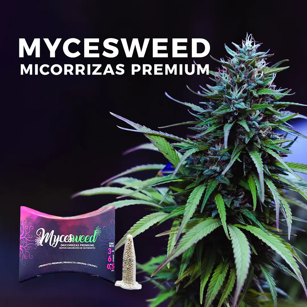 MICORRIZAS 6 GRS /NUTRIWEED 2