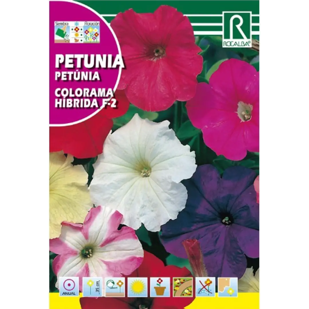 SEMILLA PETUNIA COLORAMA / BEST GARDEN  2